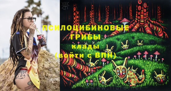 МДМА Алексеевка