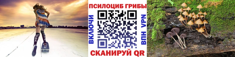 Галлюциногенные грибы MAGIC MUSHROOMS  Шуя 