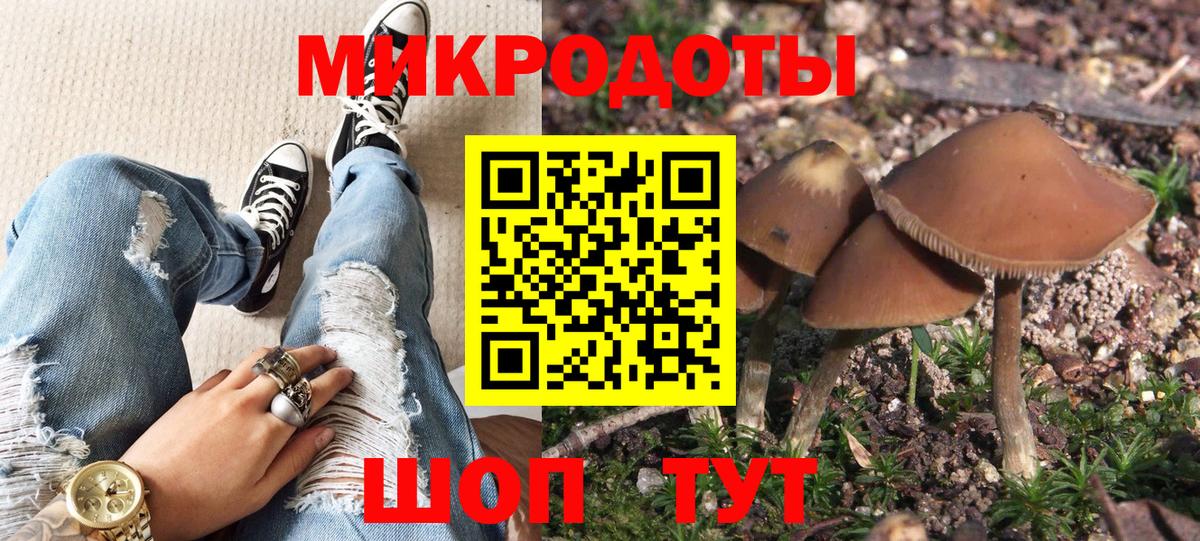 Галлюциногенные грибы Psilocybe  Вход с VPN  Шуя 