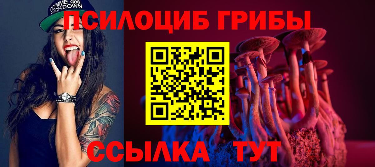 Галлюциногенные грибы Cubensis Шуя