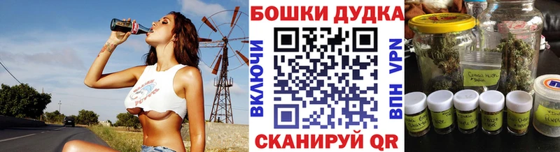 Конопля OG Kush  MEGA tor  Шуя  закладки 